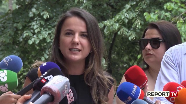 Hajdari: PD të vijë në tryezë, mos rrijë kot në shesh, Basha të mbajë zotimin që u dha artistëve