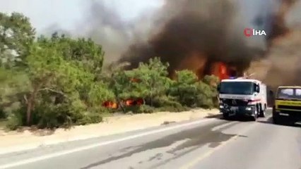 KKTC'deki yangında 800 yıllık zeytin ağaçları yandı