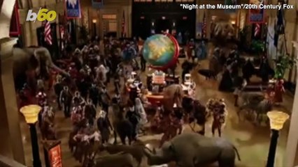 German Student Breaks-In Takes Selfies With Exhibits at Australian Museum!
