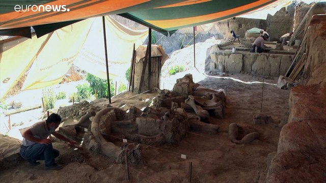 Hallazgo histórico en México de restos de mamuts atrapados en una trampa