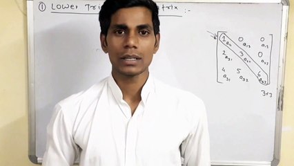 6. Lower Triangular Matrix | Array Data Structure