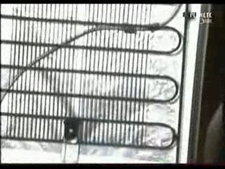 La Vie Secrete Des Machines Refrigerateur 4-18