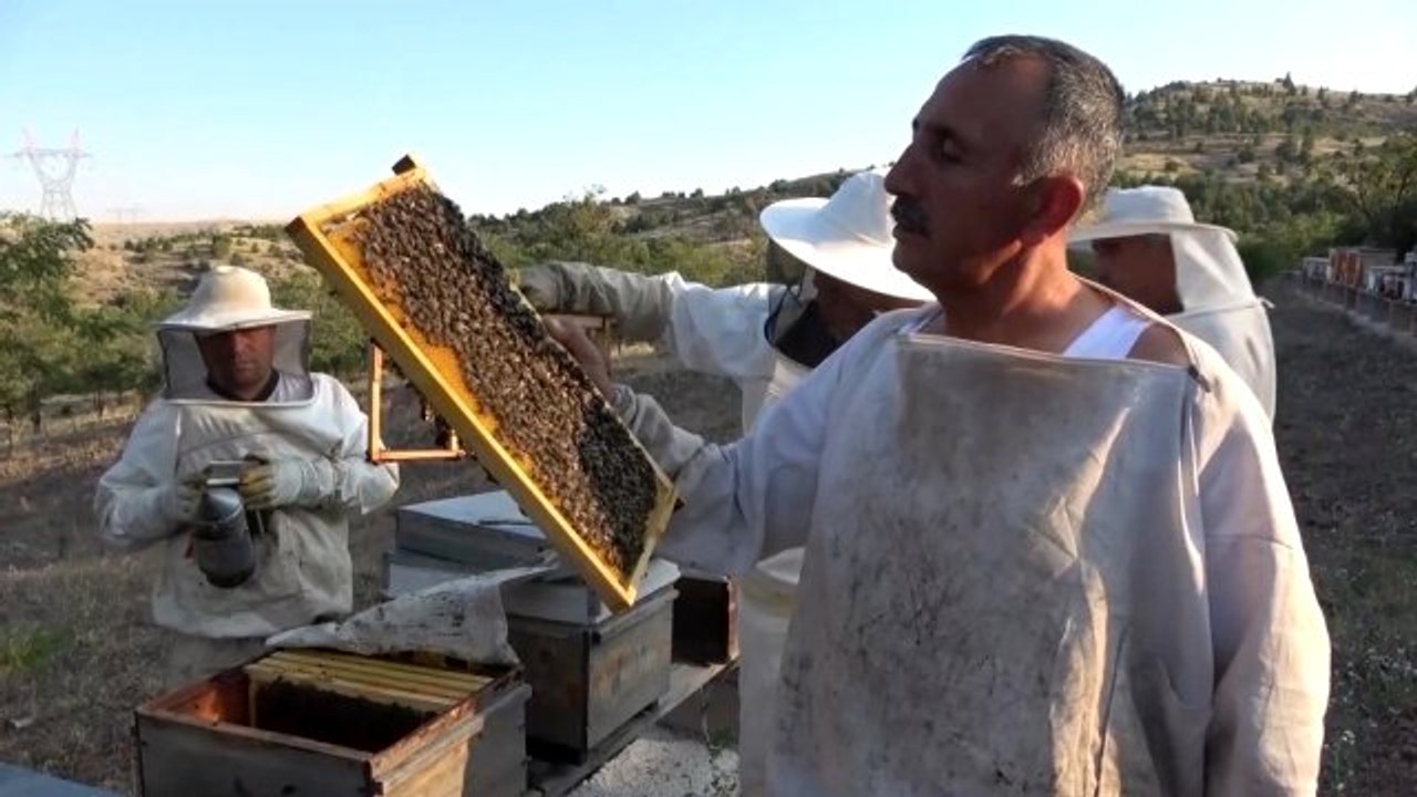 Geçen sene 75 liradan satılan balın kilosu bu s...
