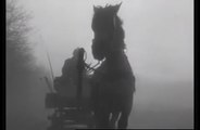 The Turin Horse - Tráiler final español