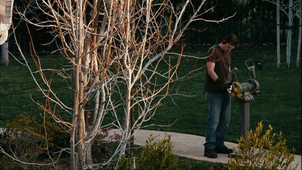 The Purge: La noche de las bestias - Tráiler español