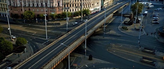 White God (Dios blanco) - Tráiler español