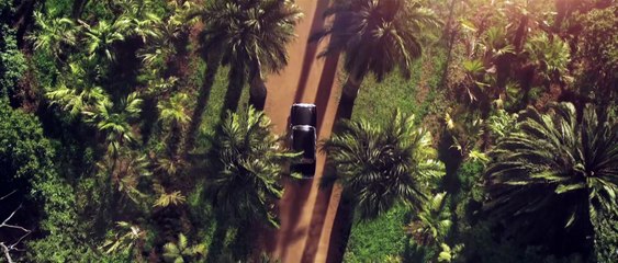 Palmeras en la nieve - Tráiler final