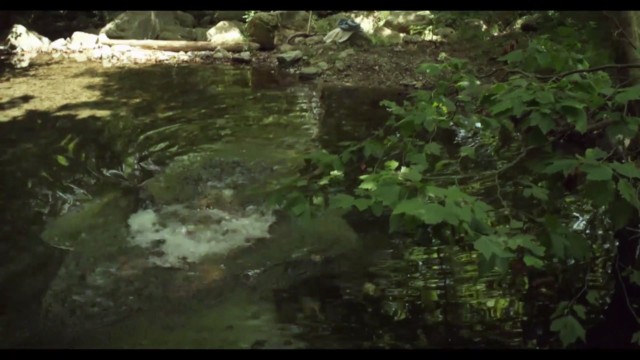 El perdido - Tráiler