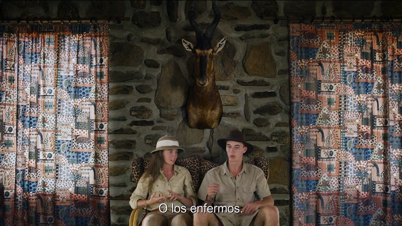 Safari - Tráiler español