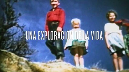 David Lynch: The Art Life - Tráiler español