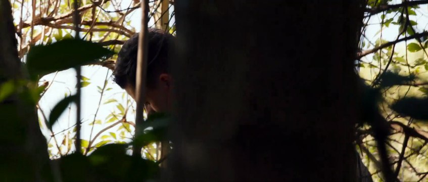 El taller de escritura - Tráiler español (doblado)