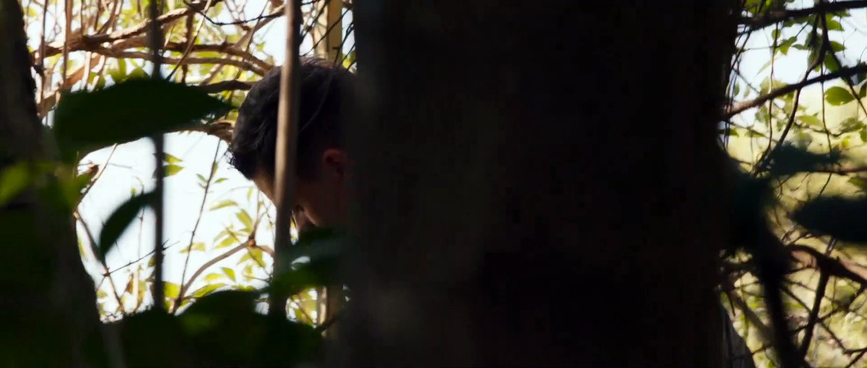 El taller de escritura - Tráiler español (doblado)