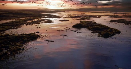 El rey león (2019) - 2º teaser tráiler español (doblado)