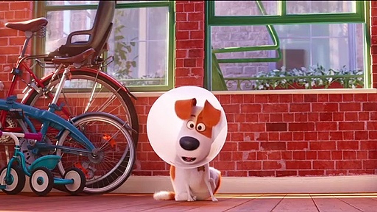 Mascotas 2 - Tráiler final español