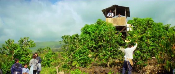 Todo por Grace - Tráiler español