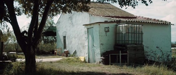 El silencio del pantano - Tráiler