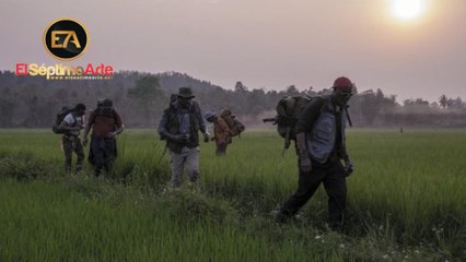 Da 5 Bloods: Hermanos de armas - Tráiler español (VOSE - HD)