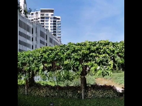 D'Rich Residences @ Nusa Duta 360 Front View