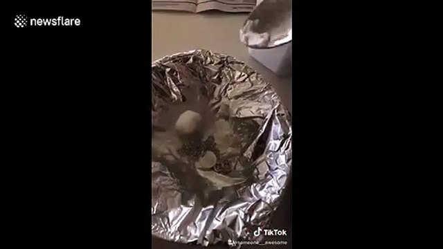 Australia woman goes viral on TikTok for silver jewellery cleaning hack