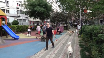 Polisin Ceza Kestiği Kadın; “Annem Medya Danışmanı, Senin Peşini Bırakmayacağım”