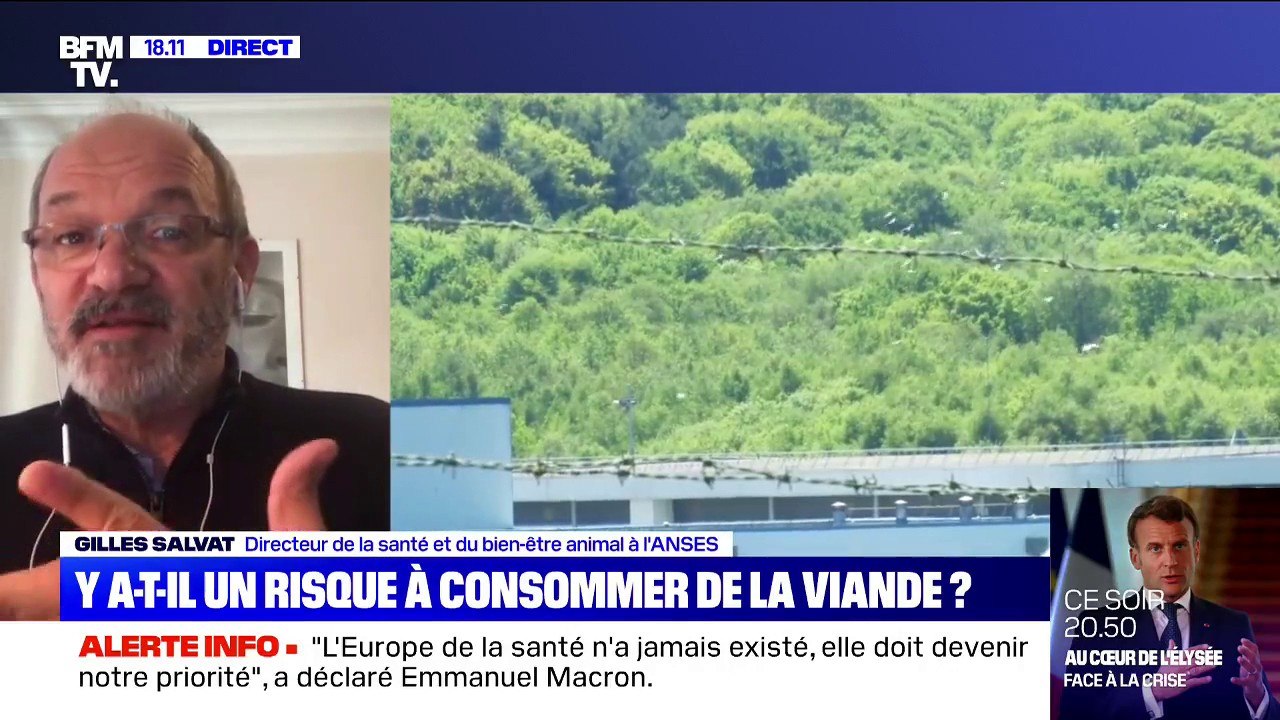 Cas de coronavirus dans des abattoirs: selon l'...