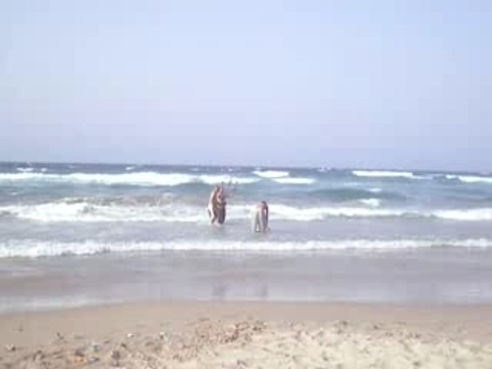 ALGERIE SPOT KITE SURF