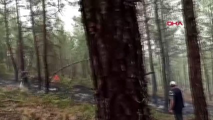 Bursa'da orman yangını: 1 hektarlık alan zarar gördü