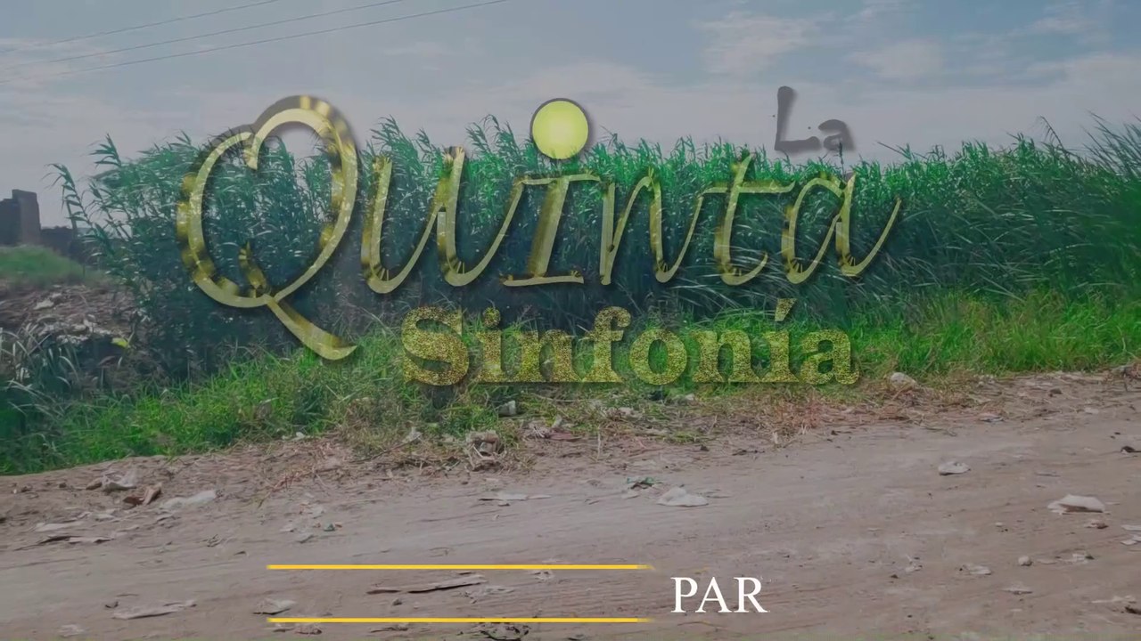 LA QUINTA SINFONÍA ♫ PARRANDA 4 / Recuerdazo de Oro (Éxitos de Colección) Vídeo en chacra de arroz (PERÚ)