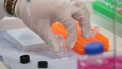 Top News - Vaksina kalon provën/ SHBA, arrin të krijojë antitrupa