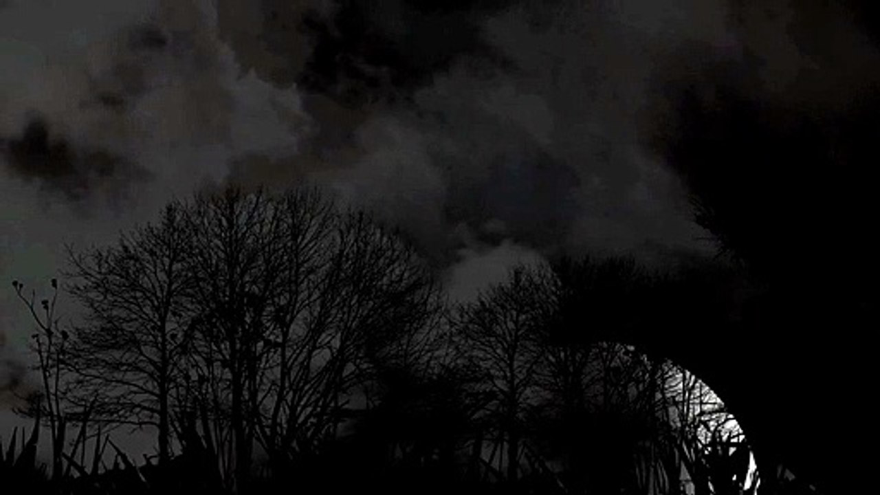 Dark Secret Of Witches (चुडैलो और डायनो के काले राज)