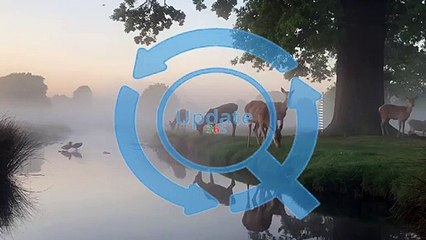 Nature doing what nature does.