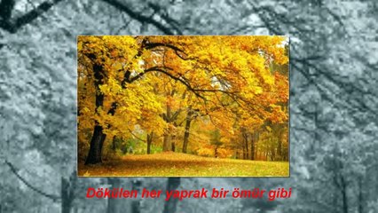 Gönül Fırtınası - Orhan GENCEBAY