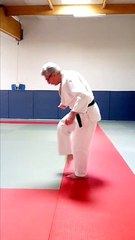 Entrainement judo 3  proposé par Michel