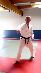 Entrainement jujitsu 2 (suite de 1)  proposé par Michel