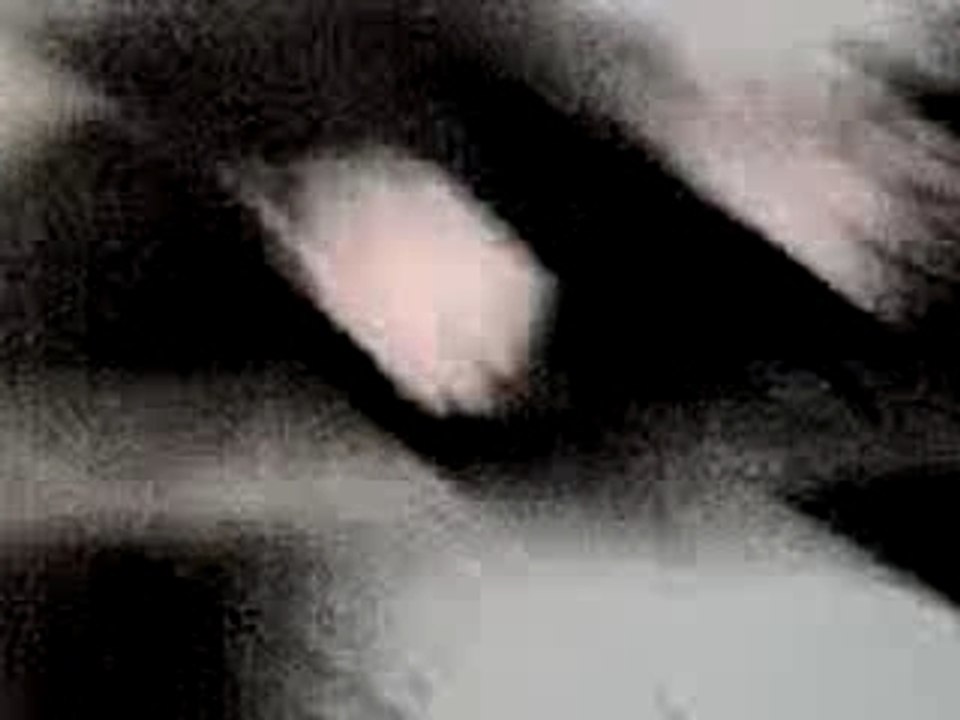Vidéo 0116