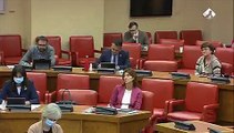 Carmen Calvo reconoce en el Congreso, y sin inmutarse, que mucho antes de la manifestación feminista del 8 de marzo ya sabían del riesgo del coronavirus