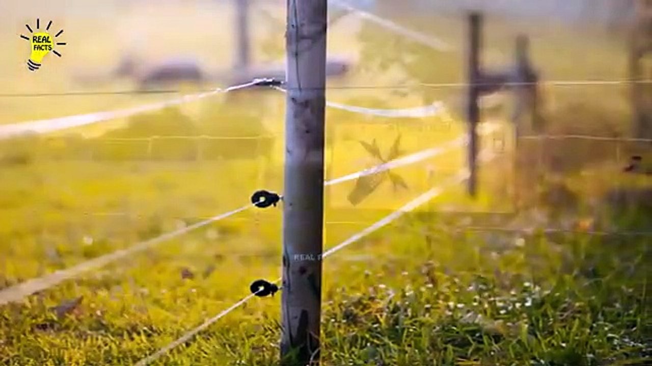 Tips To Survive A Zombie Apocalypse - Technology Gadgets In Zombie Apocalypse