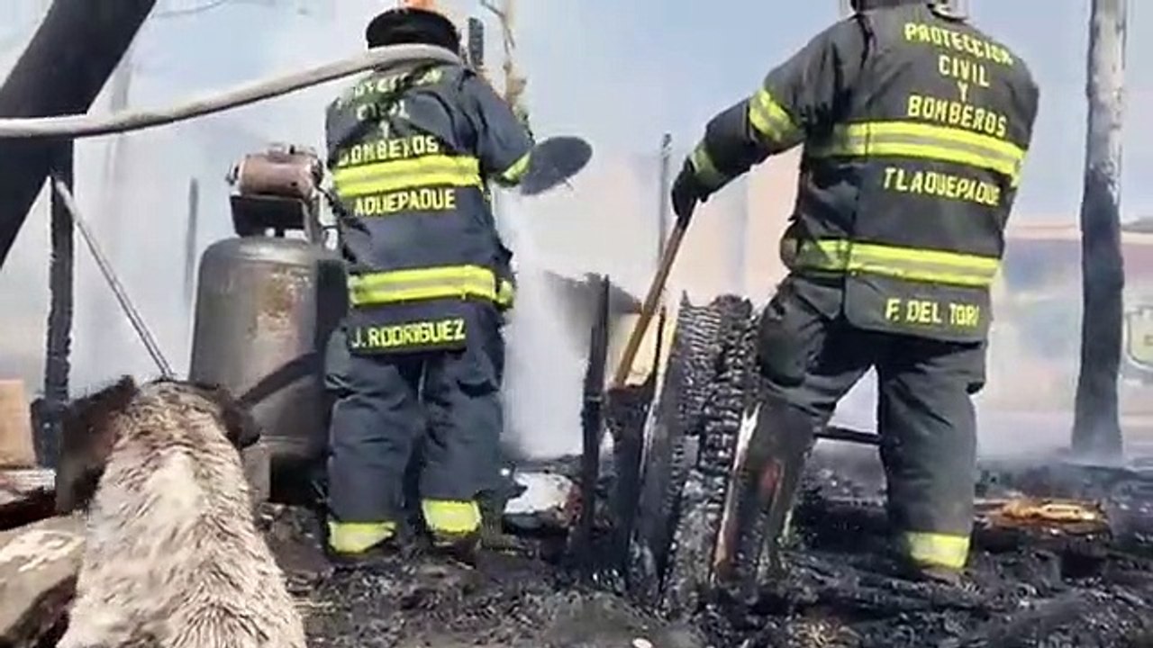 Cão chora ao ver incêndio que destruiu a sua casa e vídeo comove internautas