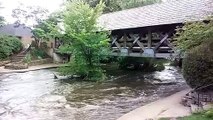 Naperville River