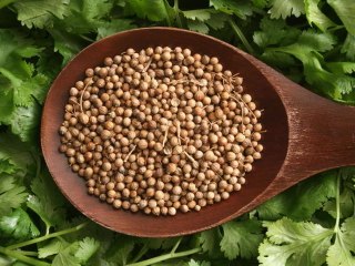 Top Coriander Substitutes You Can Use Right Now 🌿