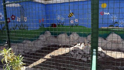 - Irak’ın en büyük hayvanat bahçesi açıldı