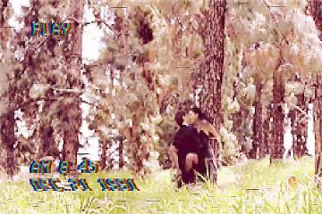 MVGEN: REMO : 21 THOUGHTS