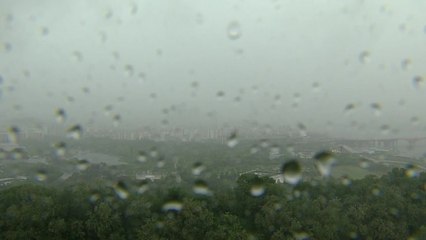 [날씨] 오늘도 곳곳 강한 비...해안가 강풍 유의 / YTN