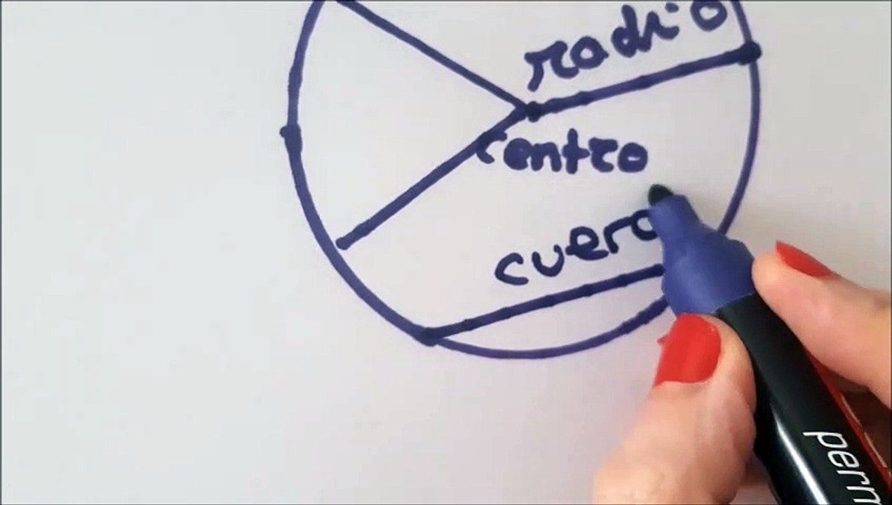circunferencia y círculo