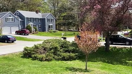 Big Bee Buzzes by on Scooter