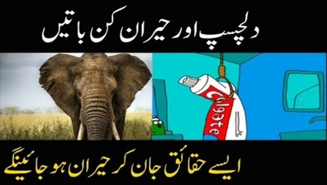 Top Unique Random Amazing Fact Around the World | Most Intresting Fact 2020  | Mano Fact