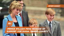 Prince William And The Diana Award charity