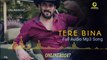 Tere Bina | Salman Khan new Romantic Song | Salman Khan