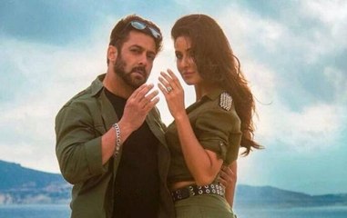 Tiger Zinda Hai: Protesters vandalise theatres screening Salman Khan's film in Jaipur & Bhopal