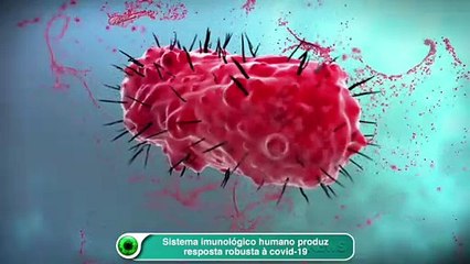 Sistema imunológico humano produz resposta robusta à Covid-19